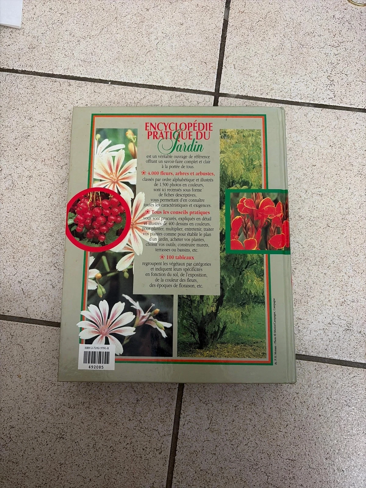 Praktische encyclopedie van de tuin – photo 6